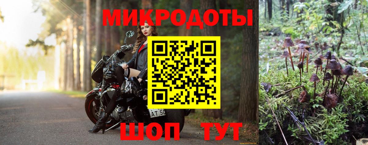 Галлюциногенные грибы мицелий Златоуст